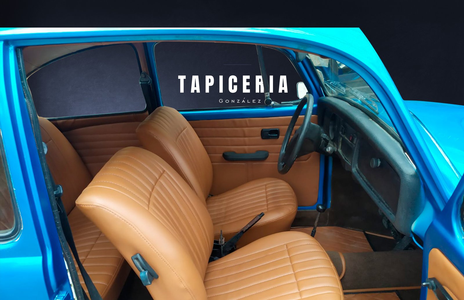 tapiceria de autos en guadalupe nuevo leon