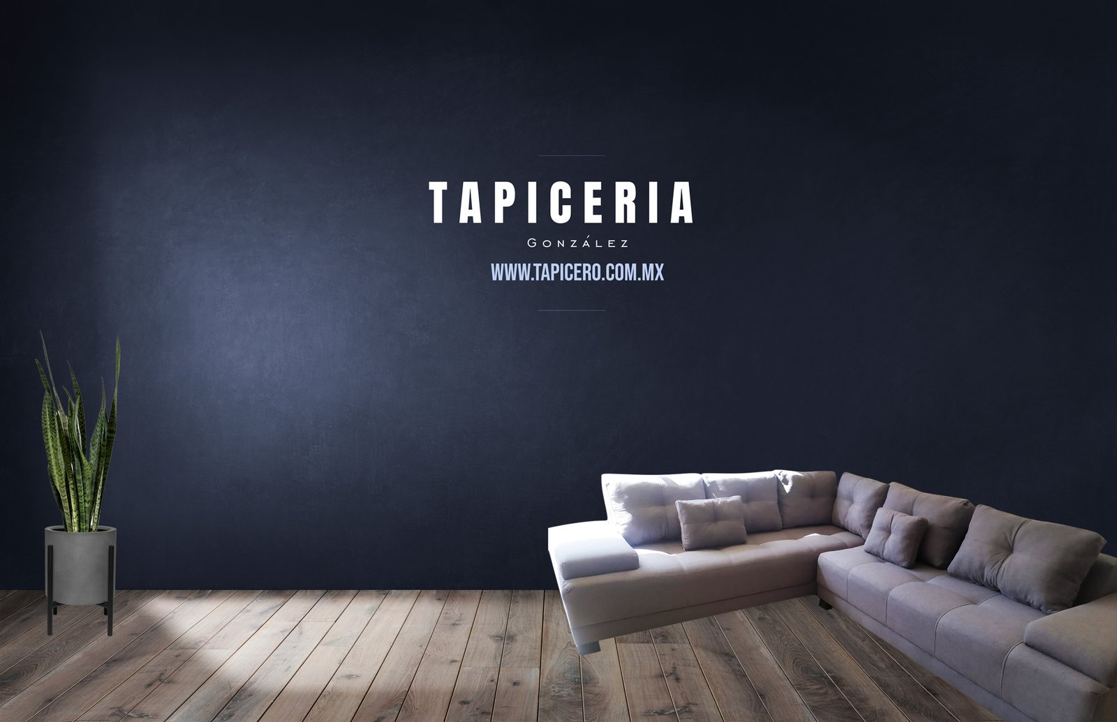 Tapiceria y mueble